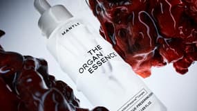 The Organ Essence, Mantle 