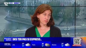 L'UFC-Que Choisir épingle la qualité de service et la ponctualité des TER