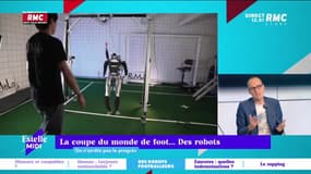 On n'arrête pas le progrès : La coupe du monde de foot... des robots - 04/07