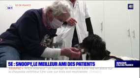 Institut Curie: Snoopy le chien, le meilleur ami des patients