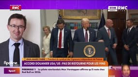  Droits de douane de 15% sur les vins: "C'est un coup terrible pour notre secteur", déclare Jean-Marie Fabre, président du syndicat des vignerons indépendants de France