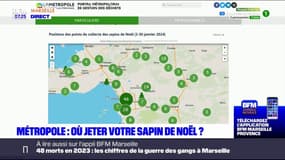 Métropole Aix-Marseille: où jeter son sapin de Noël ? 