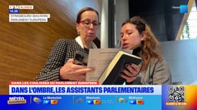 Dans les coulisses du Parlement Européen : zoom sur le travail des assistants parlementaires