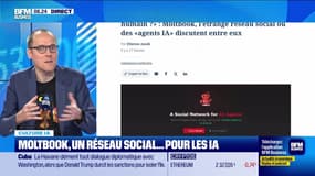 Culture IA : Moltbook, un réseau social... pour les IA, par Anthony Morel - 03/02