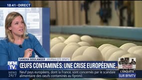 Affaire des œufs contaminés: une crise européenne