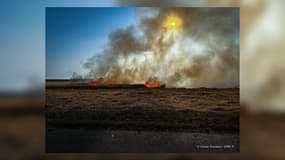 Le feu a brûlé 40 hectares de récoltes agricoles.