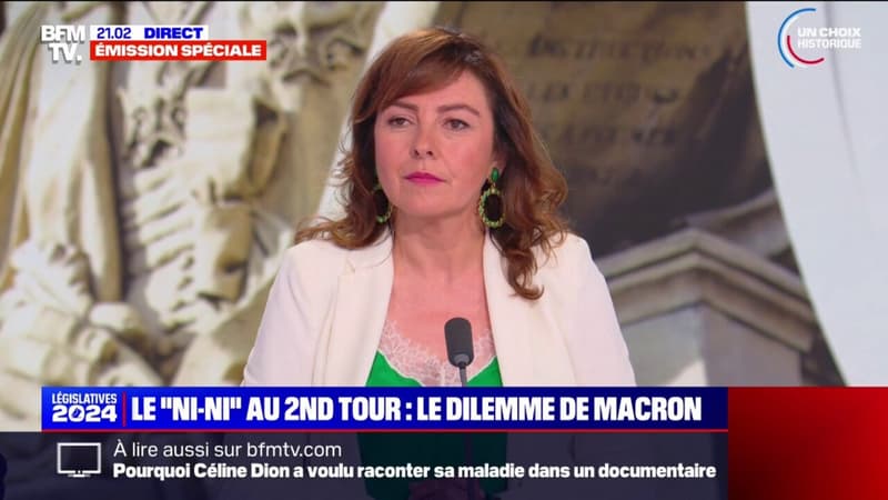 Carole Delga, présidente PS de l'Occitanie: 
