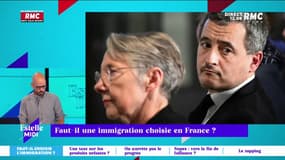Immigration choisie: "un vrai sujet de clivage au sein même de la majorité"