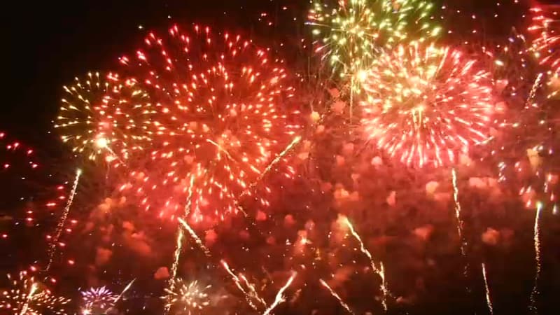 Un feu d'artifice, tiré le 13 juillet 2020.