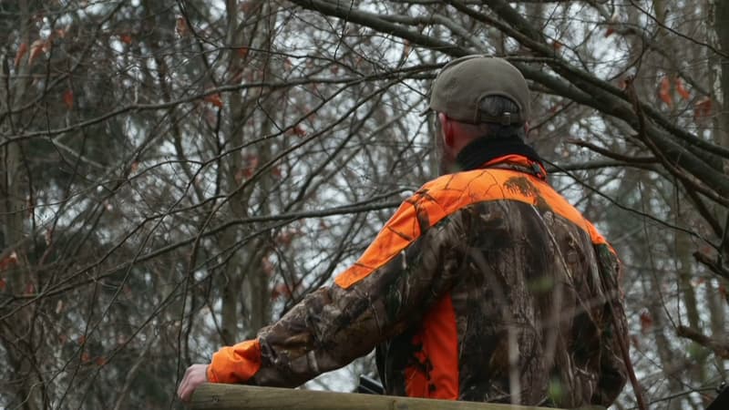 La Fédération nationale des chasseurs victime d'une cyberattaque faisant craindre un risque de vols d'armes à feu