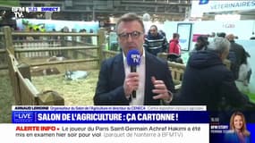 Salon de l'Agriculture: "Il y a énormément de monde et plus que l'an passé" selon Arnaud Lemoine
