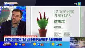 Côte d'Azur Découvertes du jeudi 31 octobre - L'exposition "La vie des plantes" à Menton