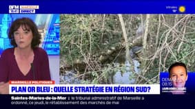 Plan "or bleu": quelle stratégie dans la région Provence-Alpes-Côte d'Azur? 