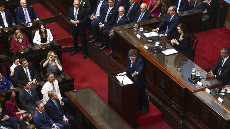 Javier Milei annonce 90 réformes pour "redessiner" l'Argentine, en touchant aux systèmes fiscal, judiciaire et électoral