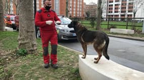 Des chiens sont entraînés à détecter les personnes positives au Covid en Île-de-France.