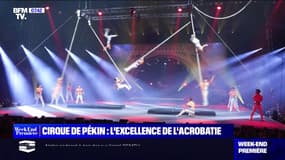 Cirque de Pékin: l'excellence de l'acrobatie - 09/12