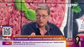 Mercosur: "On a potentiellement consommé du bœuf traité avec une hormone de croissance"