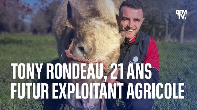 Salon de l'Agriculture 2023: à 21 ans, Tony Rondeau s'apprête à reprendre une exploitation laitière