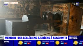 "Ca ne doit pas être oublié": des collégiens des Alpes-Maritimes ont participé au 100e voyage de la mémoire organisé par le département à Auschwitz