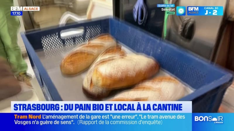 Strasbourg: du pain bio et local dans 19 cantines scolaires