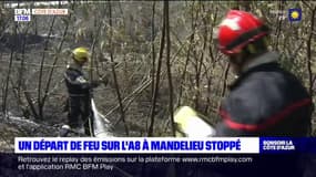 Mandelieu-la-Napoule: le feu près de l'A8 a été fixé par les pompiers