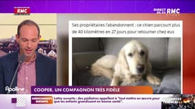 L'histoire de Sébastien Krebs : Cooper, un compagnon très fidèle - 02/05