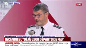 Feux de forêts: "9 feux sur 10 ont une origine humaine", indique Julien Marion, directeur général de la Sécurité civile
