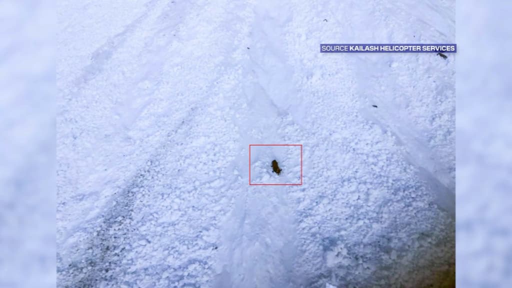 Du matériel a été repéré sur place par l'hélicoptère affrété par la fédération