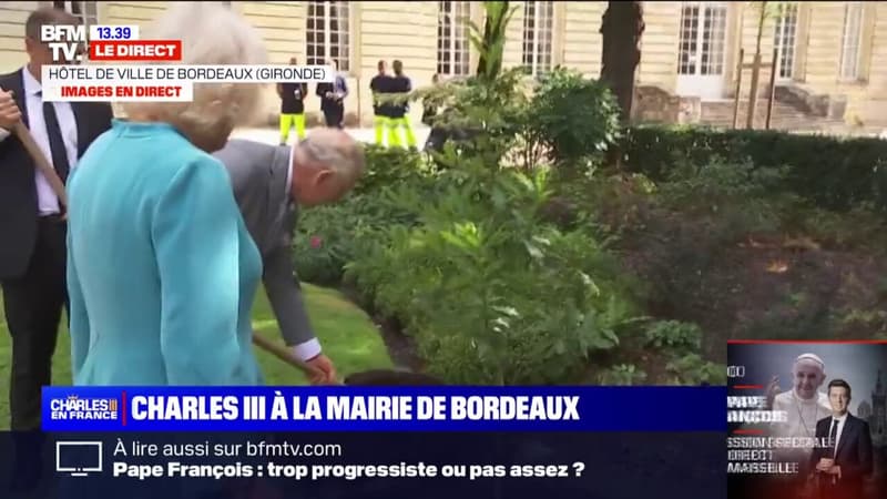 Bordeaux: le roi Charles III et le maire Pierre Hurmic plantent un chêne