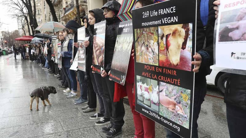 Une nouvelle manifestation vegan s'est déroulée, ce samedi, devant le Salon de l'agriculture à Paris