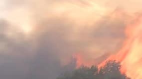 Feu de forêt.