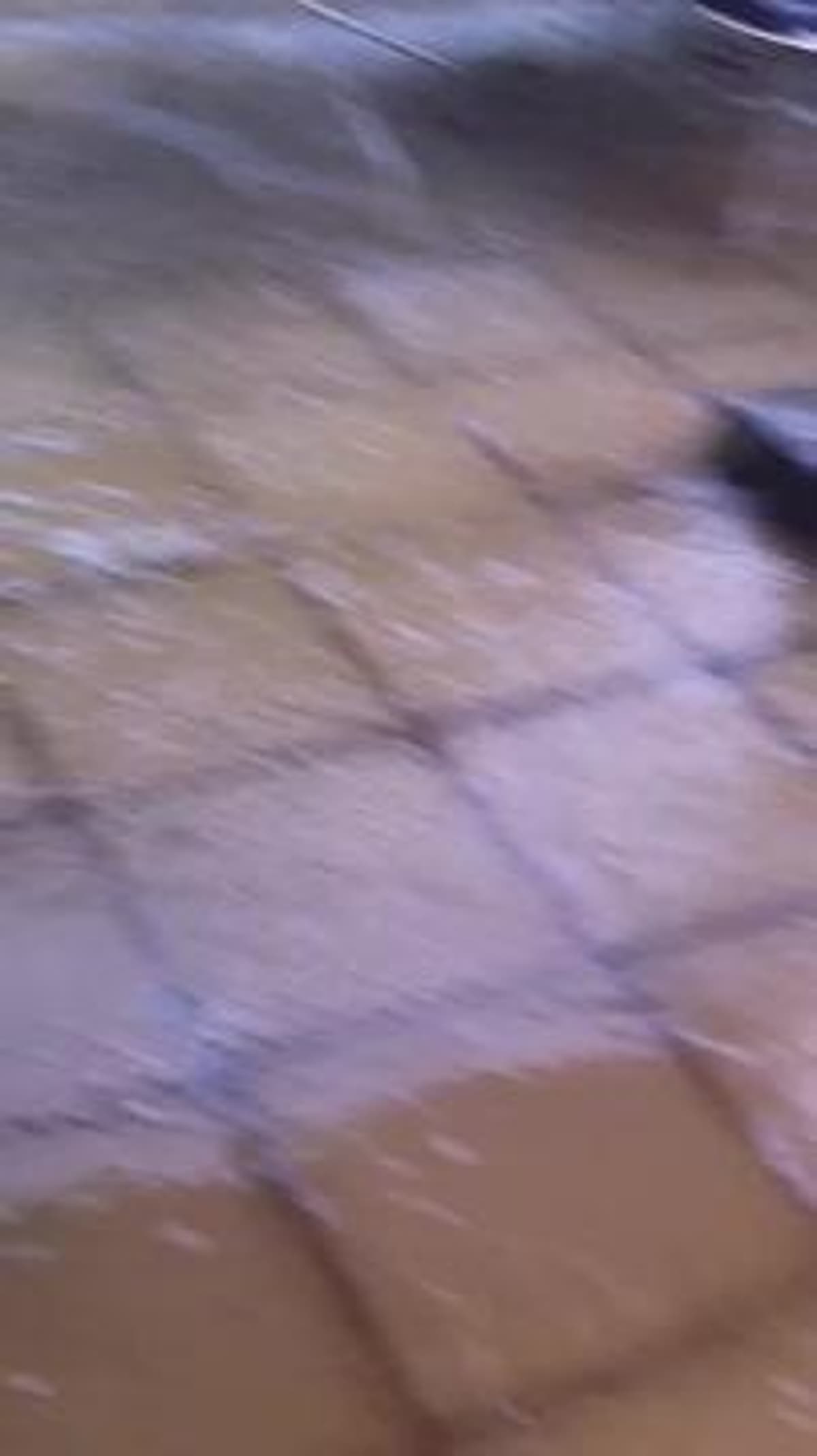 placeholder video