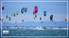 Des couleurs et des vagues. 250 kitesurfers réunis dans l’Aude
