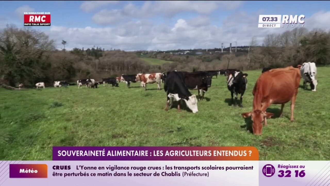 Projet de loi agricole : Colère des agriculteurs contre la simplification – Franceinfo