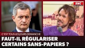 C'est tous les jours Demanche sur RMC - Faut-il régulariser certains sans-papiers ?