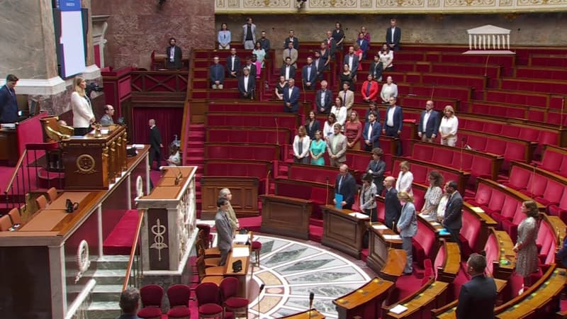 Une minute de silence respectée à l'Assemblée nationale pour Nahel, tué à Nanterre
