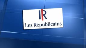 Les Républicains pour remplacer l'UMP? L'appellation est attaquée en justice.