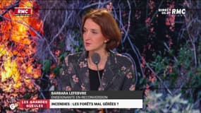 Incendies incontrôlables ! L'explication de Barbara Lefebvre : "On a perdu 2000 agents au sein de l'Office National des Forêts !"