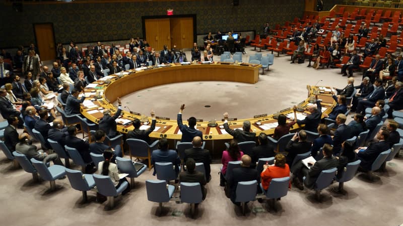 Le Conseil de Sécurité de l'ONU, à New York (Etats-Unis)