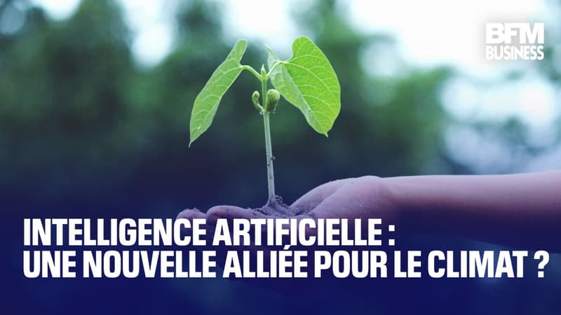 Intelligence artificielle : une nouvelle alliée pour le climat ?