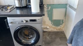 Infiltration d’eau, champignons, invasion de rongeurs… Des locataires résidant dans des logements sociaux dans les Hauts-de-Seine décrivent leur calvaire.