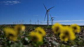 Un parc éolien à Aumelas, à l'ouest de Montpellier, le 12 mars 2025 dans l'Hérault