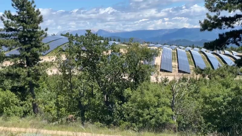 Parc photovoltaïque à Cruis: la cour administrative d'appel donne raison à l'association Amilure