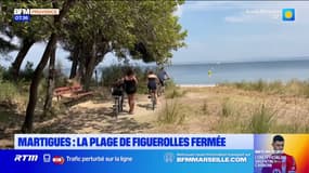 Martigues: la plage de figuerolles fermée depuis le 6 août à cause des algues