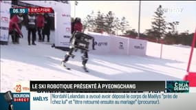 La chronique d'Anthony Morel : Le ski robotique présenté à Pyeongchang - 15/02