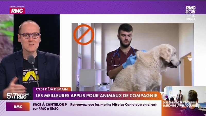 C'est déjà demain - Les meilleurs applis pour animaux de compagnie