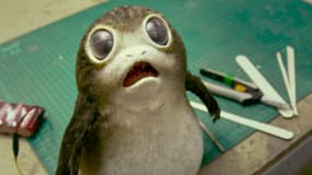 Un Porg