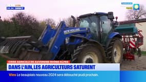 Crise agricole: dans l'Ain, les agriculteurs saturent