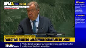 Les principes des Nations unies "mis à l’épreuve", estime Antonio Guterres