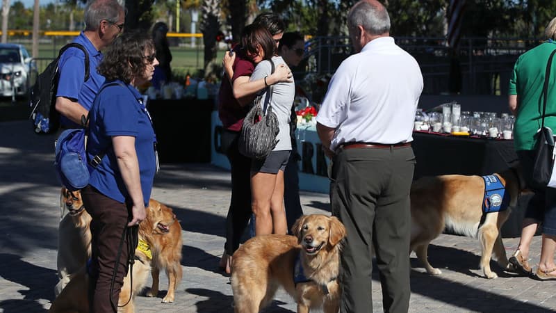 Des chiens de thérapie au chevet des survivants de la fusillade de Floride, le 16 février 2018 à Parkland
